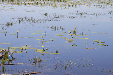 Similar image 21793111