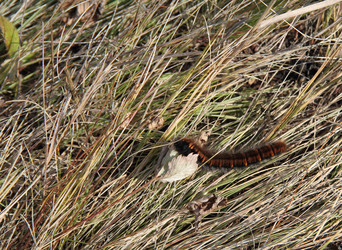 Similar image 21793112