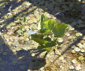 Similar image 21793113