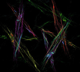 Similar image 21792240