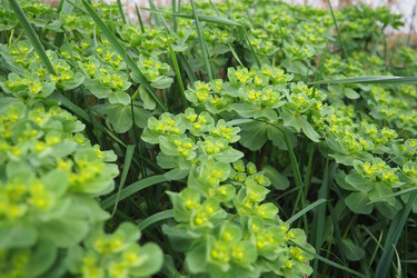 Similar image 21806924