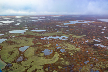 Similar image 21789184