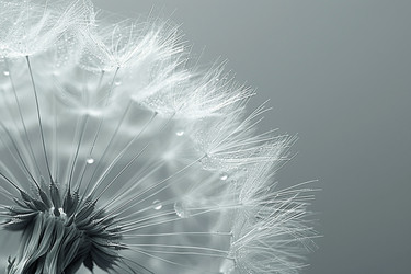 Similar image 21789196