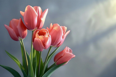 Similar image 21789197