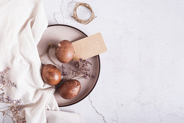 Similar image 21788683