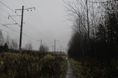 Similar image 21789082