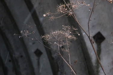 Similar image 21789084