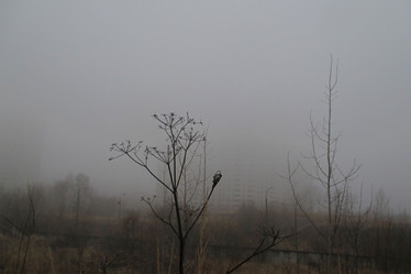 Similar image 21789086