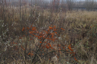 Similar image 21789089