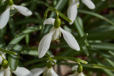 Similar image 21788992