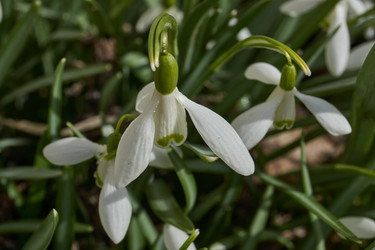 Similar image 21788994