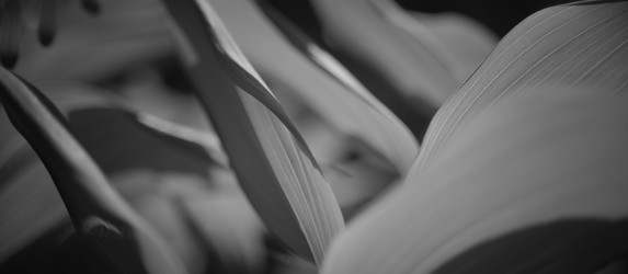 Similar image 21789201