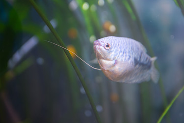 Similar image 21789404