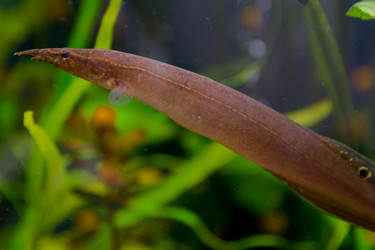 Similar image 21789406