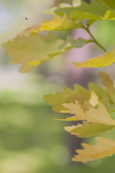 Similar image 21789408