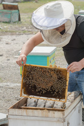 Similar image 21789411