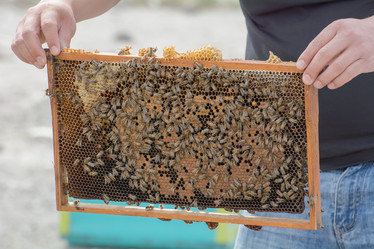 Similar image 21789412