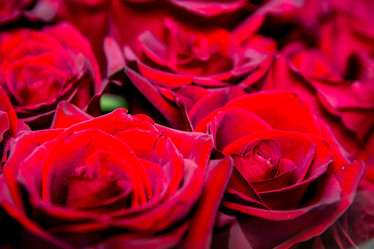 Similar image 21789414