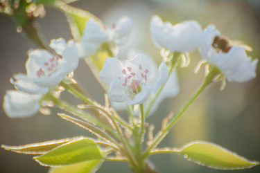 Similar image 21789419