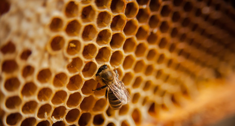 Similar image 21789421