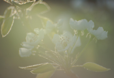 Similar image 21789423