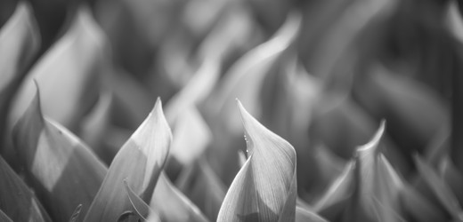 Similar image 21789424