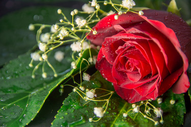 Similar image 21789444