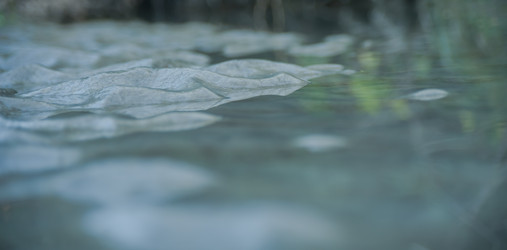 Similar image 21789446