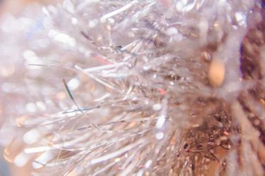 Similar image 21789450