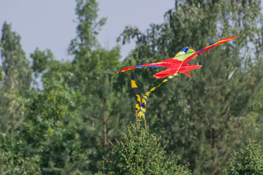 Similar image 21789454