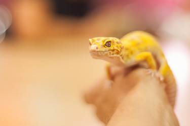 Similar image 21789455