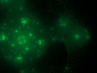 Similar image 21792002