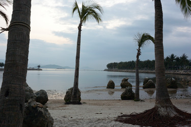 Similar image 21789250