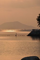 Similar image 21789259