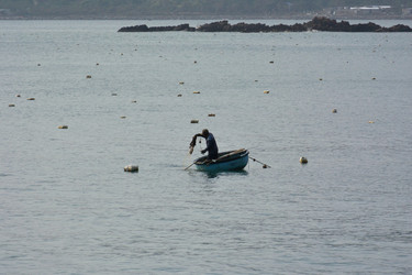 Similar image 21789262