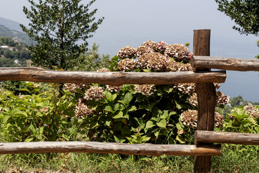 Similar image 21788961