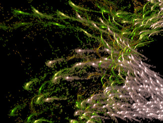 Similar image 21791619