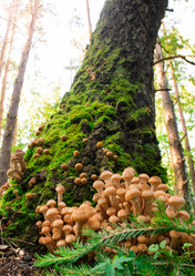 Similar image 21789301