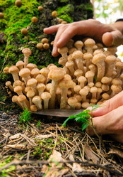 Similar image 21789302