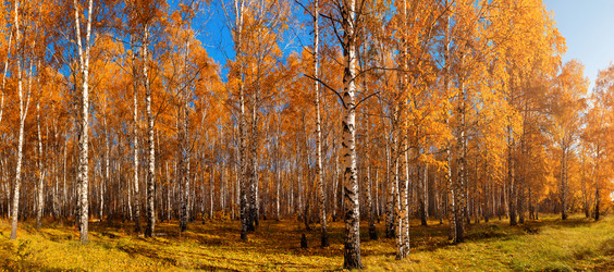 Similar image 21793395