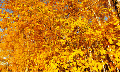 Similar image 21789306