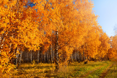 Similar image 21793397