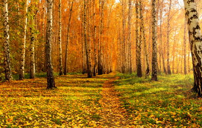 Similar image 21789307