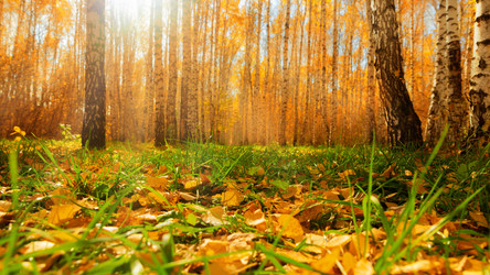 Similar image 21789308