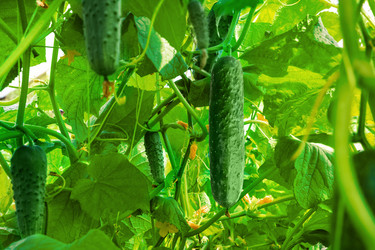 Similar image 21789312