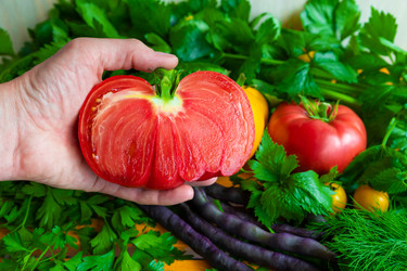 Similar image 21789807