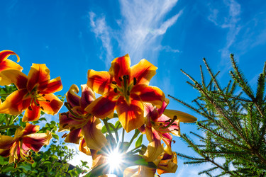 Similar image 21793402