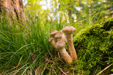 Similar image 21789313