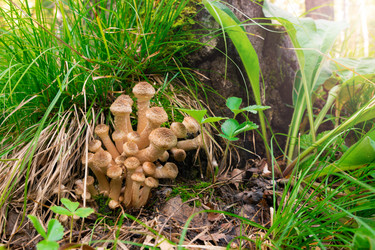 Similar image 21793403