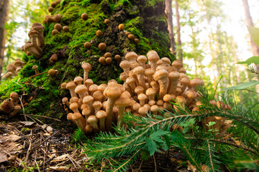 Similar image 21793404